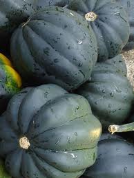 Acorn squash