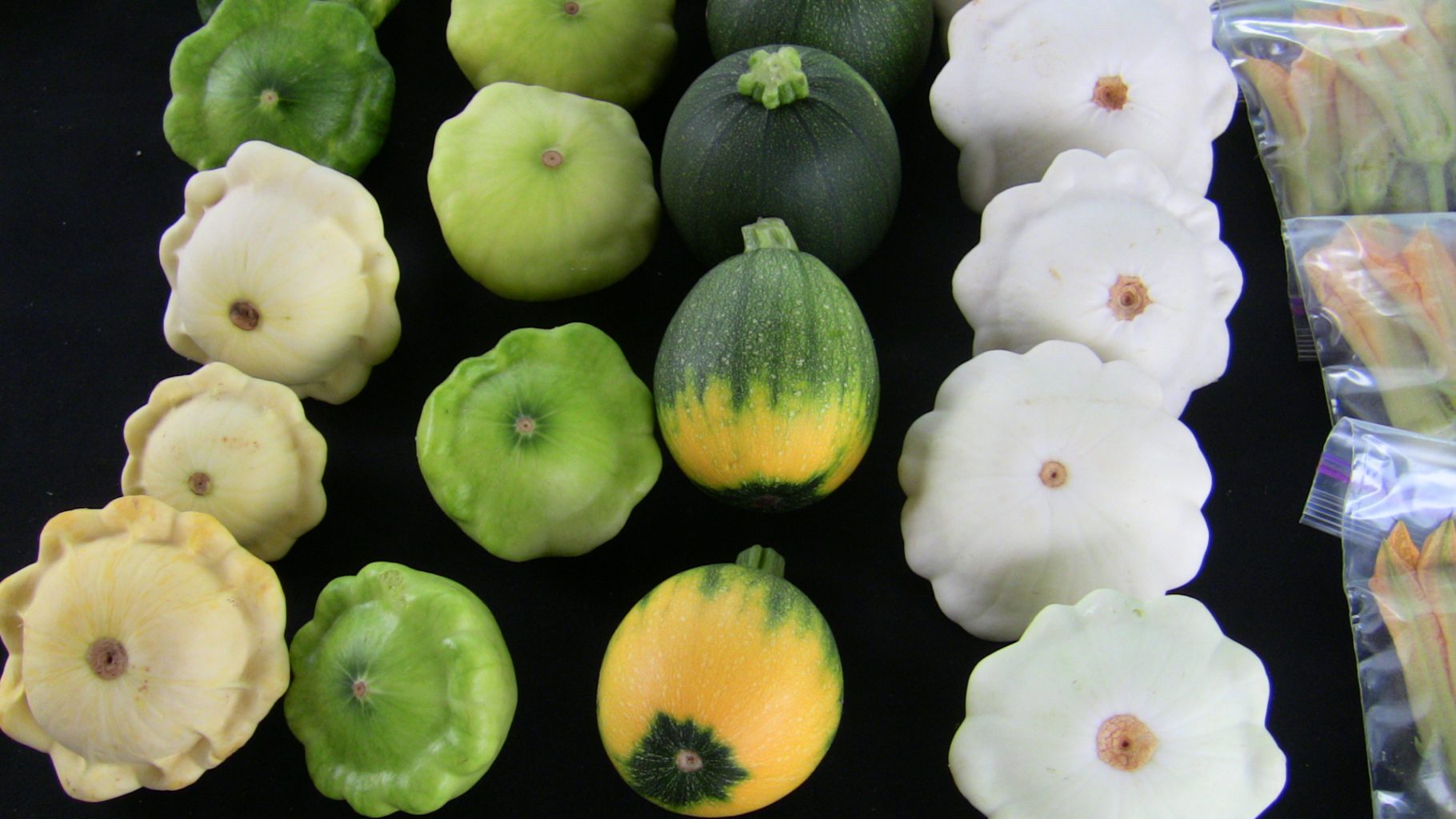 Winter or Summer? Choose Your Squash