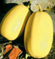 Spaghetti Squash