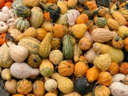 Winter Squash