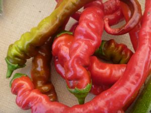 cayenne chili peppers