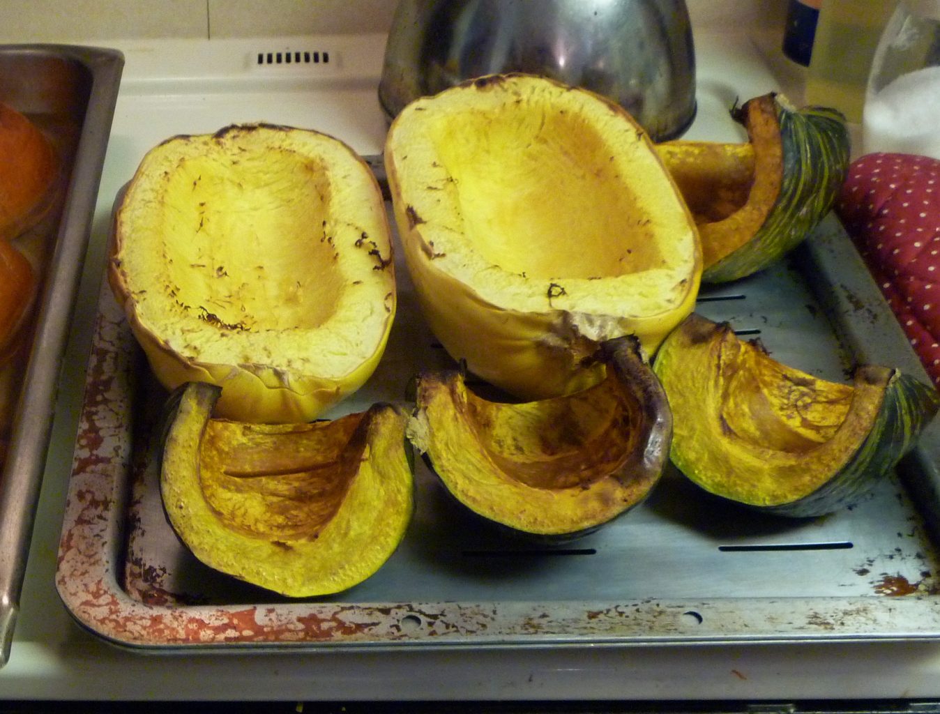 Roasted Squash