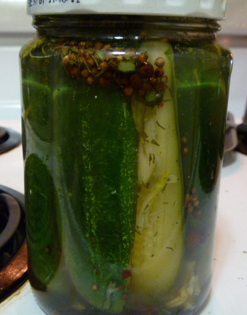 This Week’s Experiment: Pickles