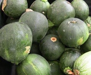 roundzuchini