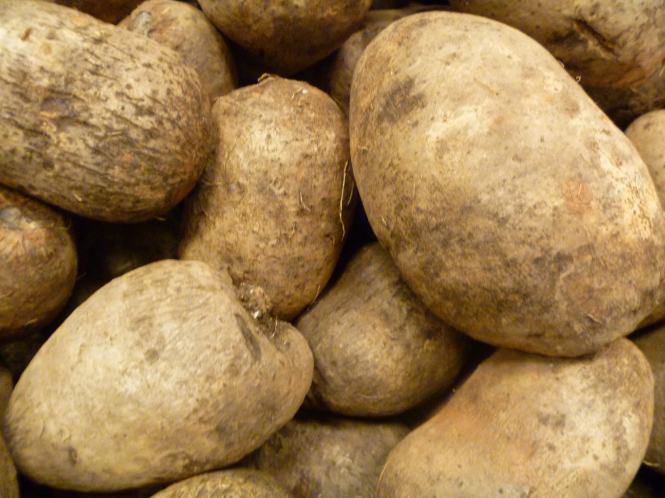 Sweet Potato or Yam: Which One Do You Eat?