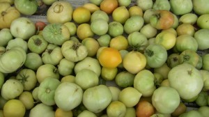 Green tomatoes