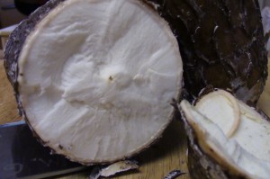 cut cassava