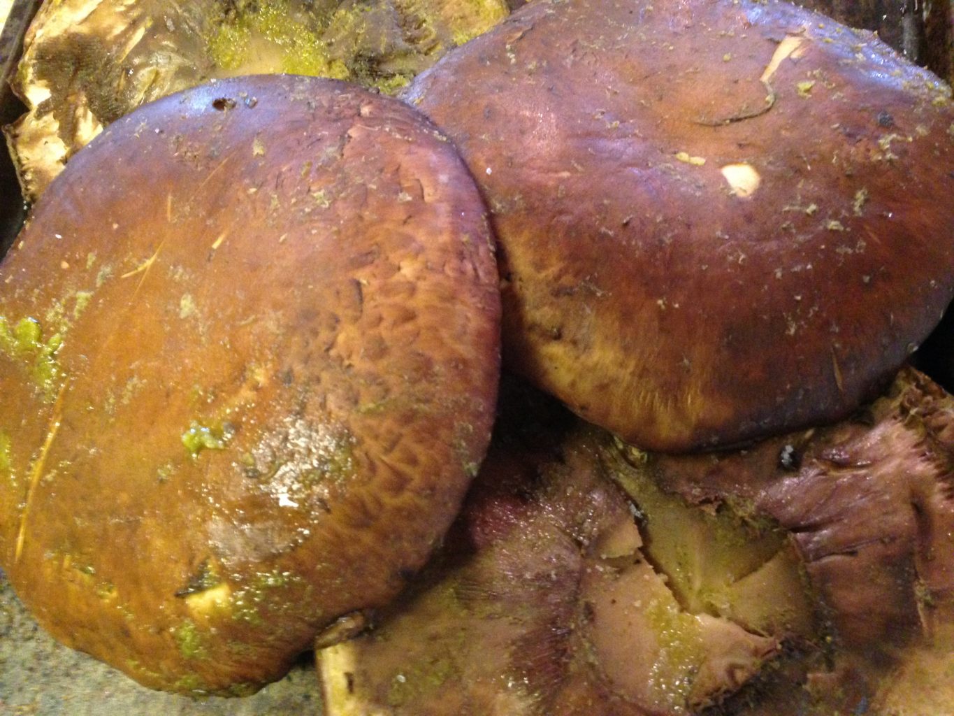 Grilled Portobello Mushroom Steak