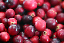 November Food Observances