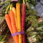 Rainbow carrots