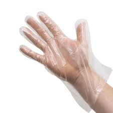 food service glove