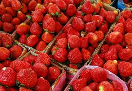 May is the Month of Strawberries