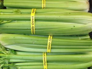 Celery, good for you in so many ways. It was used as medicine in ancient times, and is finally being accepted as a healthy choice as a snack.
