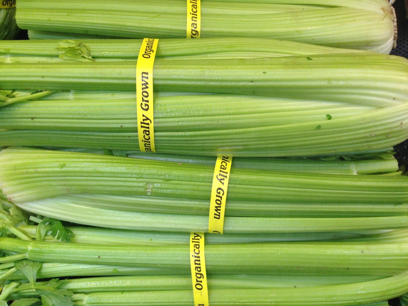 Don’t Overlook Celery