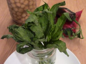 The Mexican Herb Epazote, used in cooking beans, and to add flavor to vegetables and soups.