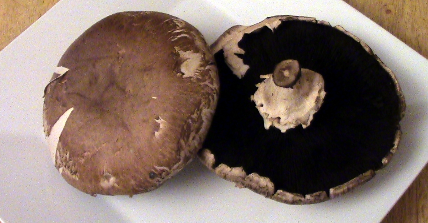 portobella mushroom