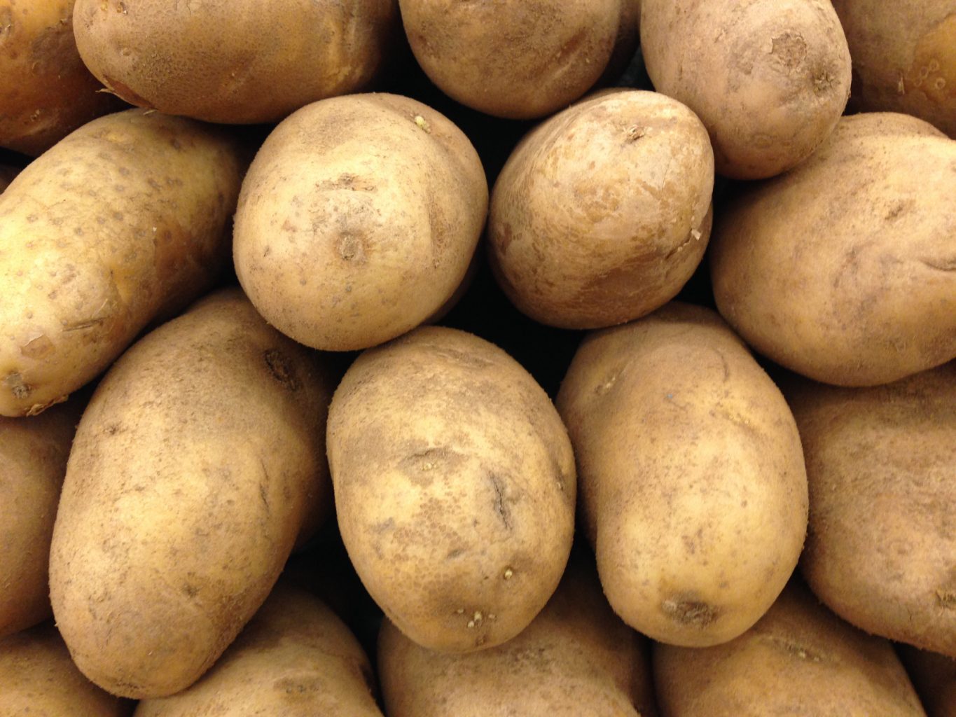 Potato Recipes