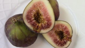 figs