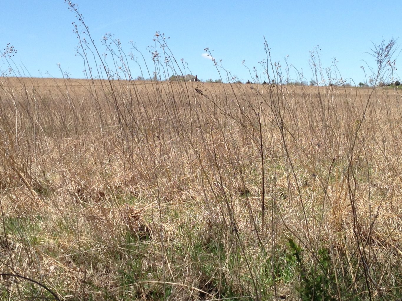 An Update from the Heartland